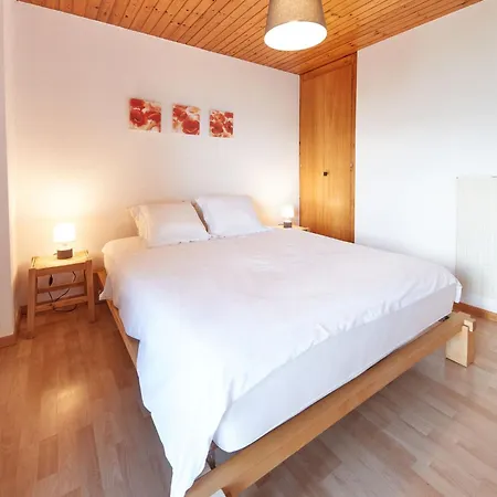 Fuchsia By Interhome Les Collons