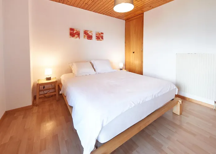 Fuchsia By Interhome Les Collons